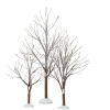 Department 56 Village Accessories|First Frost Trees