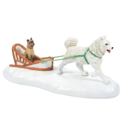 Department 56 Village Accessories|Whose Best Friend?